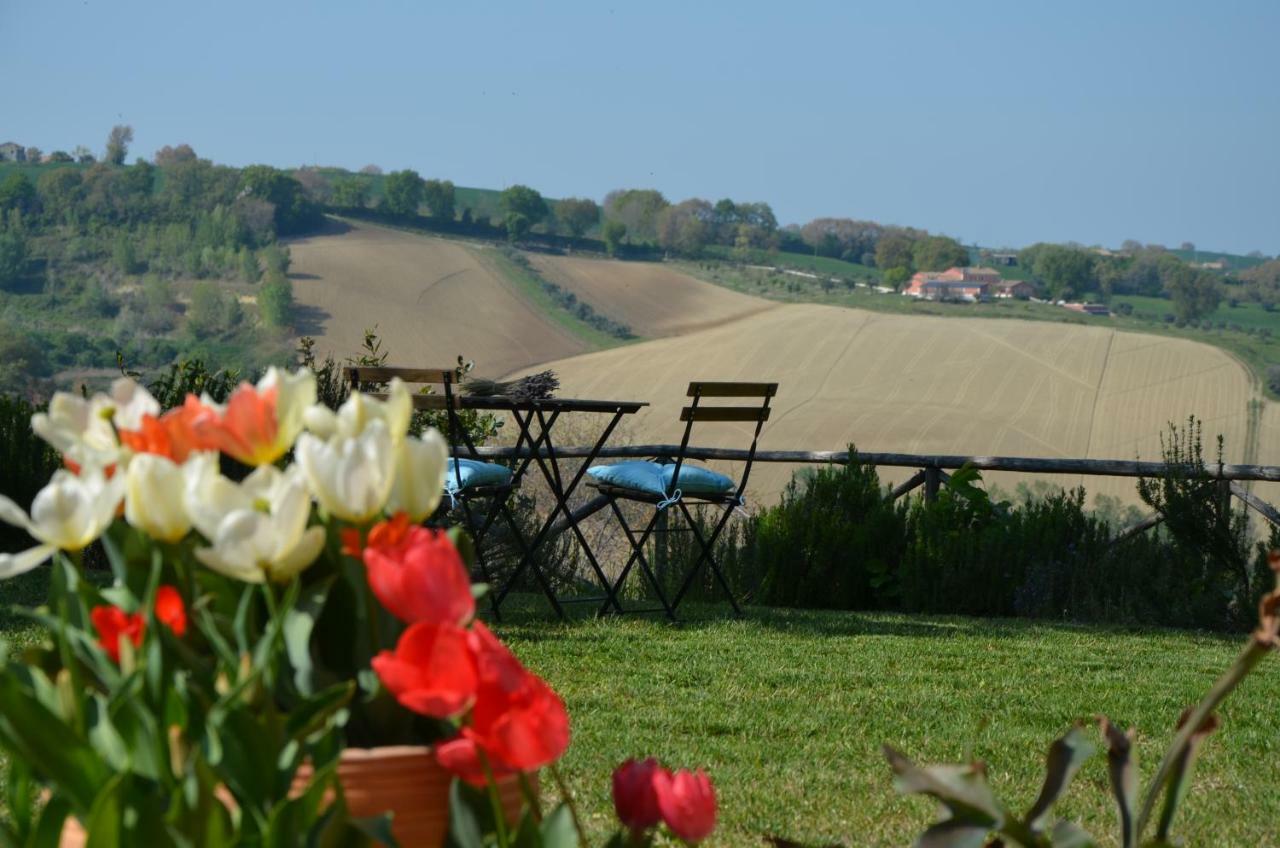 Il Posto Perfetto Bed & Breakfast Santa Maria Nuova  Екстериор снимка